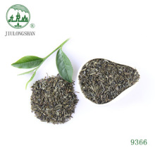 Anti Fatigue Health Jiulongshan Stir-fried Chunmee Organic China Green Tea